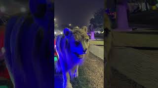 Roar ##creative #creator #viralvideo