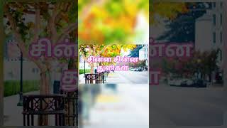 TamilMelody #LoveSong #ChillVibes #RomanticTamilSong #MelodyHits #SilSinnaSoozhnilaigal #TamilMusic