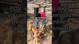 #animalshelter #rescuedog #wildliferescue #animalrescue #rescue #rescueefforts #animalwelfare