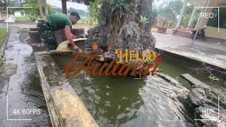 Música relaxante para começar o dia com energia positiva