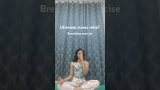Best breathing technique to relief stress| Anlom Vilom #yogaathome #breathwork #pranayama