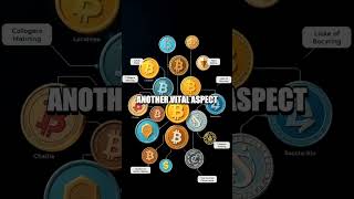 Understanding Cryptocurrency Investment Strategies