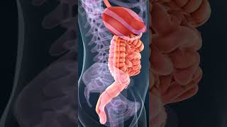 🩺 How Physical Therapy Can Support Digestive Health #DigestiveHealth #PhysicalTherapy #GutHealing