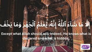 Beautiful Quran Recitation | Surah A'la -5 times on repeat by Abu Bakr al Dhabi