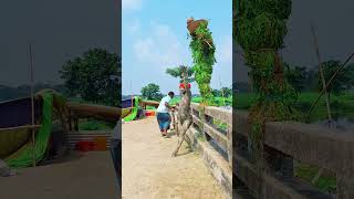 #unfrezzmyaccount #dancecover #dancer #love #তোমারপিন্দনেরশাড়িতে
