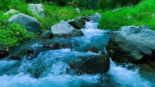 12H River White Noise ASMR – Work, Relax, Sleep & Anxiety Support