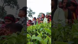 #assamesesong #folksong #monekoriassamjabo #dancemusic #nature #love