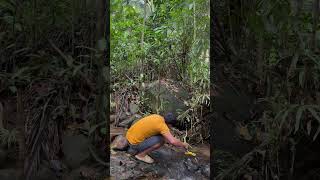 Omg big snake in the hole ,keep safe
