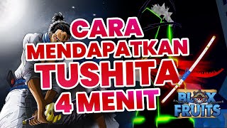 CARA MENDAPATKAN TUSHITA Blox Fruits 4 MENIT!