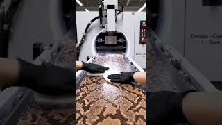 snake to Luxury leather Factory