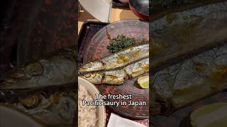 The freshest Pacific saury in Japan#tokyo #travel #delicious #deliciousfood #food #Japan#fish