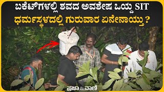 ಧರ್ಮಸ್ಥಳ: ಹೂತಿಟ್ಟ ಶವದ ಅವಶೇಷಗಳನ್ನು ಬಕೆಟ್‌ಗಳಲ್ಲಿ ಒಯ್ದ SIT I Dharmasthala: Skeletal remains found