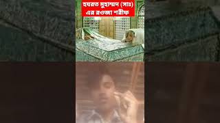 #হাযরাত মহাম্মদ সাল্লাল্লাহু আলাইহি ওয়াসাল্লামের রোজা শরিফ ভিডিওটা ভালো লাগলে সাবস্ক্রাইব করে দিও