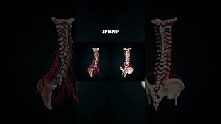 Owls can twist their heads 270°—but how?!It’s not magic #science #facts