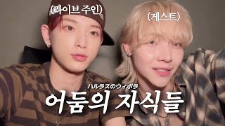 [앤팀/&TEAM/エンティーム] 250818 HARUA’s Live 위버스 라이브 요약 | 하루아 니콜라스 하루라스 ハルア ニコラス ハルラス ウィボラ 日本語字幕