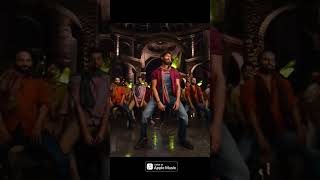 Maal Piyenge #maalpiyenge #nagpurisong #shorts