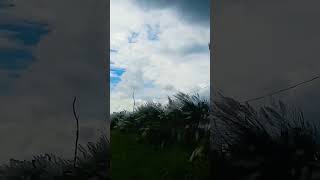 full bihari #shorts manike #song #jublinnatyallovesongstatus #jublinnaytyall song