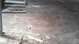 Nhà máy ván ép công nghiệp công ty An việt - Goxaydung.vn