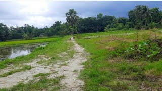 Routine rural life in village // Bangladesh।। making birthday special dishes ।। simple and slow life