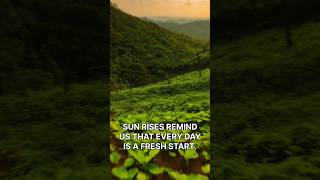 Nature’s Beauty: A Journey for Peace & Motivation