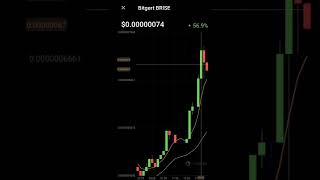 Bitgert crypto coin price increased | brise crypto #brise #bitgert #shorts