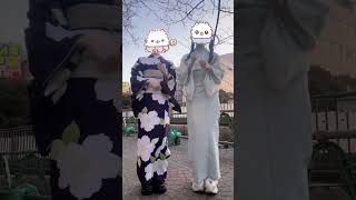 New Japanese Dance Trend in Kimono🩵🐱#mass-produced #landminestyle #jfashion