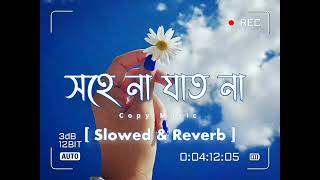 Din Gelo(দিন গেল)Habib Wahid [ Slowed + Reverb ] New Lofi Song 2023_Copy Music♫︎♡︎🦋