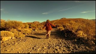 Lucie Glang- Phoenix (Official Lyric Video)