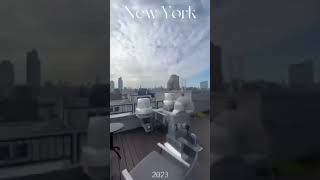 NEW YORK FUN !!! #study #fun #newyork #businesschool #usa  #student #