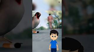 why do birds pick up cigarette butts?