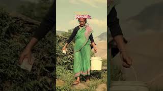 village life of nepal 🇳🇵travel naturelovers ❤️😘🇳🇵