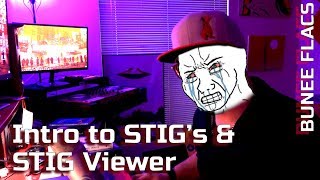 Intro to STIG's & STIG Viewer