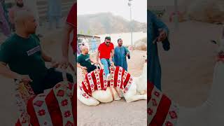 জিনের সাথে মোলাকাত 