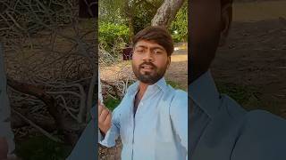 #new_bhojpuri_latest_status