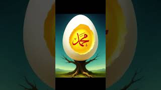 assalam walekum follow karo subscribe karo comment karo