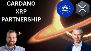 Cardano To Partner With XRP! ADA XRP Bull Cycle LOADED!