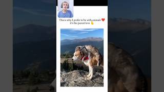Dog And Cat Bond Needs To Be Studied ❤ #catanddog #catdogfriendship #cutecat #catvideos #dogcatvideo