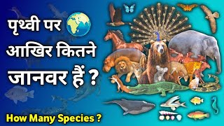 आखिर कितने जानवर ? | How Many Species of Animals are there in the World in hindi | Animals in India