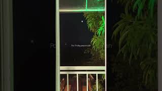 Rain Therapy🌧️ #rainyweather #soundofrain #pluviophile