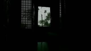 Sesh Kanna 🥀|| Tanveer Evan || Lofi Bangla Music