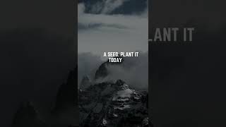 The Seed of Change 🌱💫#PlantTheSeed#SmallStepsBigChange#StartSomewhere#GrowthTakesTime