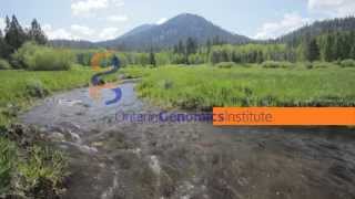 Using genomics to help clean up wastewater