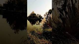 #sorts #hindisong #tubhi.krib.a.jra