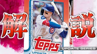 [Recommended for beginners] The third flagship release! Includes many noteworthy rookies! A thoro...