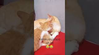 ayo siapa yang kaya gini😂😂😂