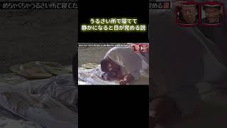 水曜日のダウンタウン｜うるさい所で寝てて静かになると目が覚める説