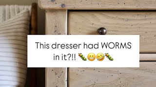 This dresser had WORMS in it?! 🐛😳🤣 #furnituremakeover #refinishedfurniture