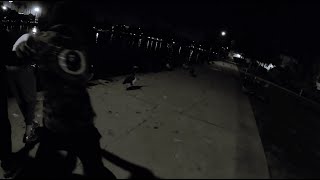 He Almost Got Pushed Into The Lake (Alondra Park)