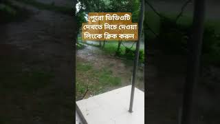 স্কুলে বৃষ্টি বিলাস #viralvideo #villagenature #viralshorts #school #rain