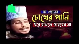 এই ওয়াজ টা শুনে চোখের পানি ধরে রাখতে পারবেন না /Bangla Waz